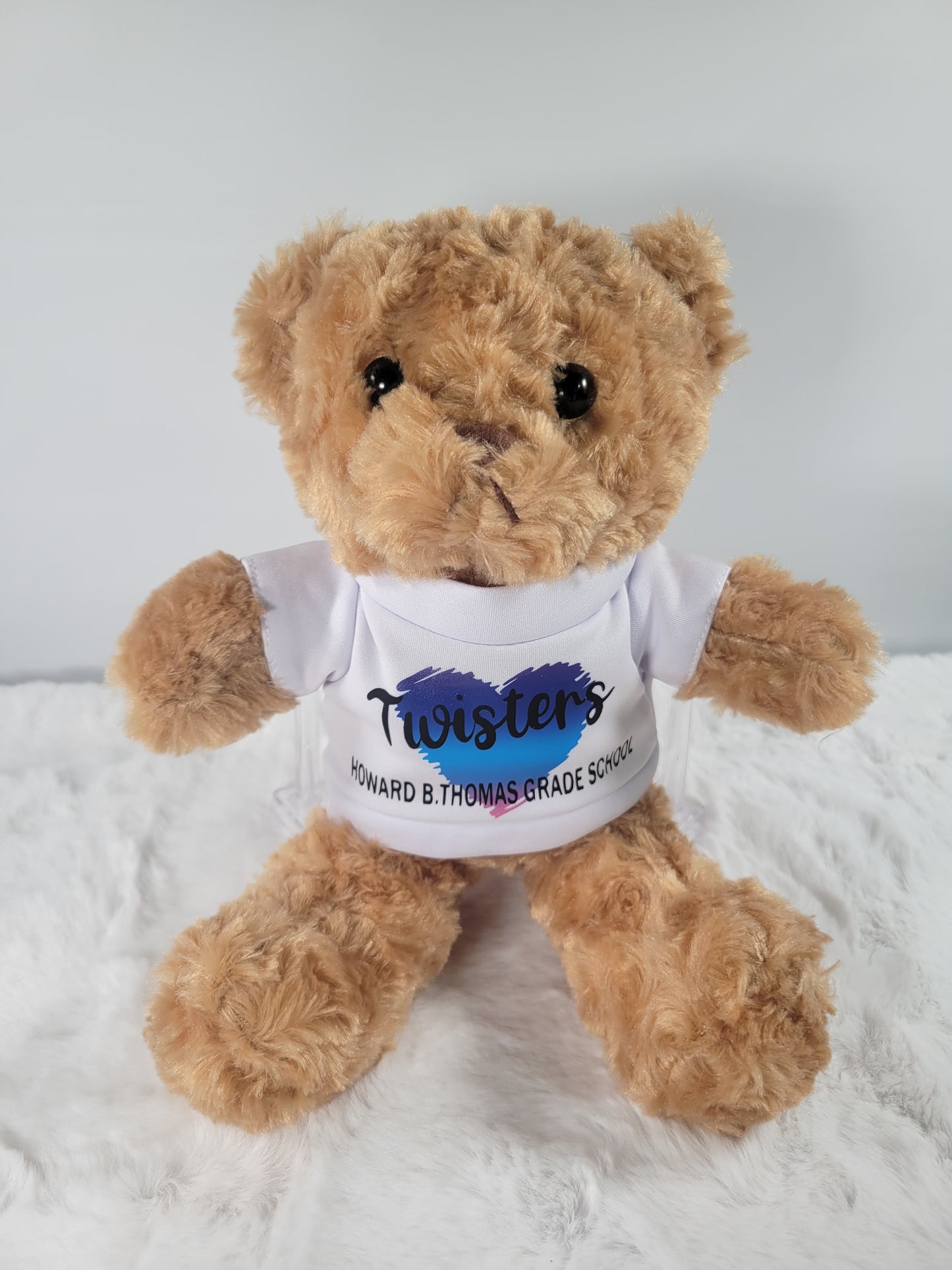 SCHOOL SPIRIT TEDDY BEAR